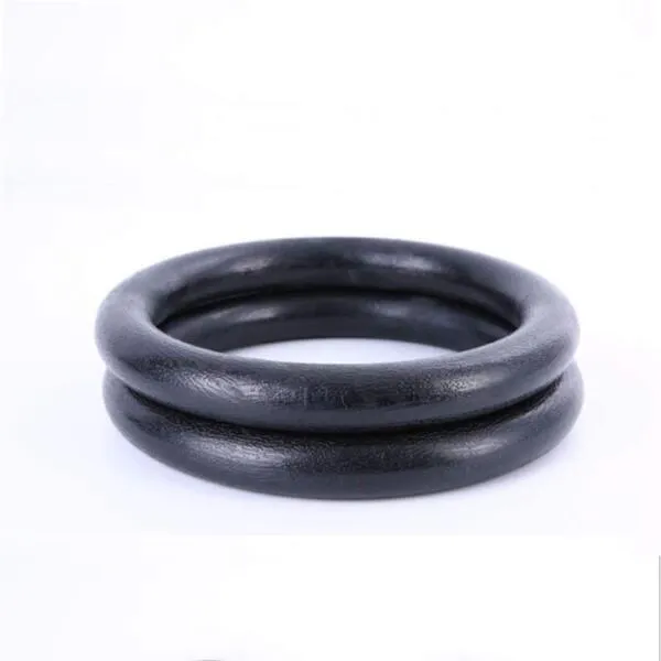 BESPORTBLE 1 Pair ABS Gymnastic Ring Fitness Rings Workouts Ring Home Fitness Ring Pro Olympic Gym Ring for Fitness (Black)